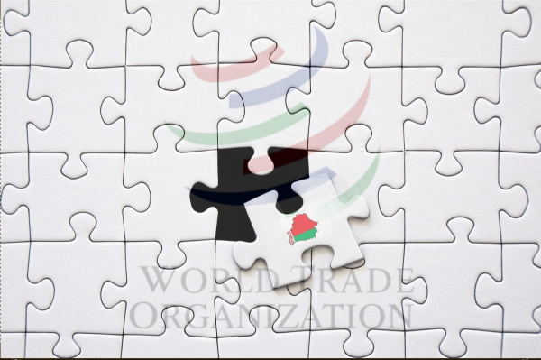 Russian expert helps integrate the Belarusian economy into global trade