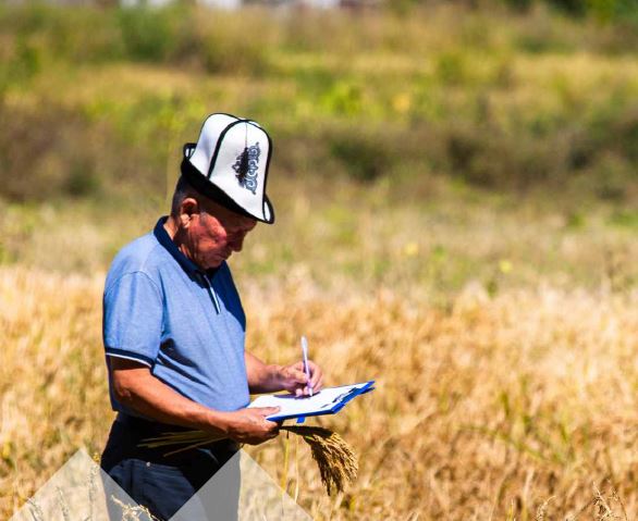 Трастовый Фонд поддерживает комплексное развитие в Киргизии