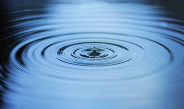 Главный технический советник проекта по управлению водными ресурсами