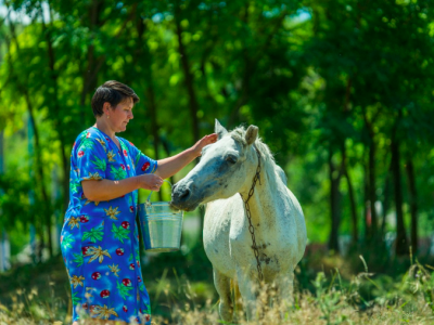 Международный консультант по разработке Стратегии управления знаниями в области адаптации к изменению климата Молдовы