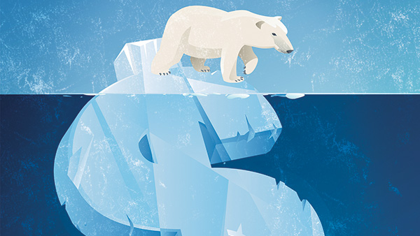 Советник по вопросам финансирования и инвестиций в области климата