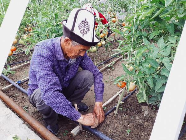 Russia-UNDP Trust Fund approved projects for socio-economic recovery after COVID crisis amounting to $13 mln 