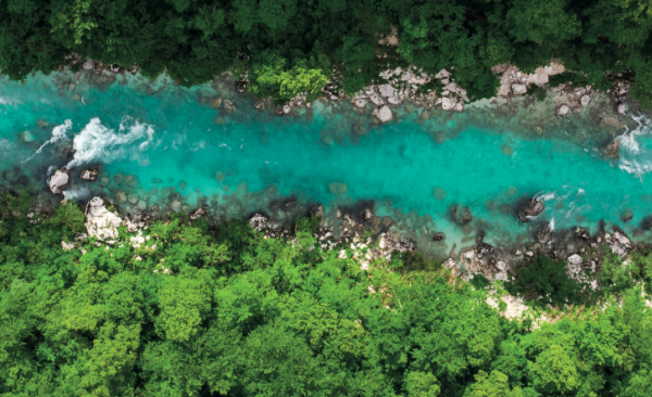 Международный консультант по вопросам низкоуглеродного и климатически устойчивого экономического развития