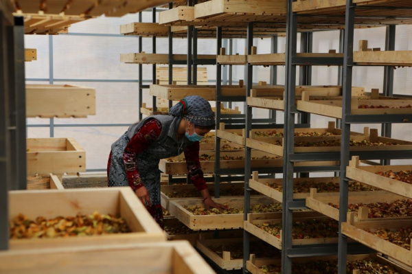 Россия поддерживает инновационное фермерство для развития местной экономики в Таджикистане