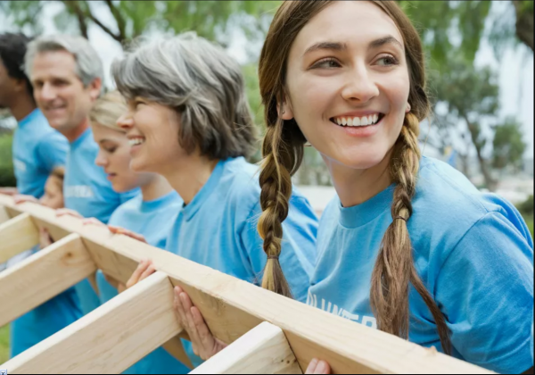 Объявлен набор в реестр технических консультантов Программы добровольцев ООН