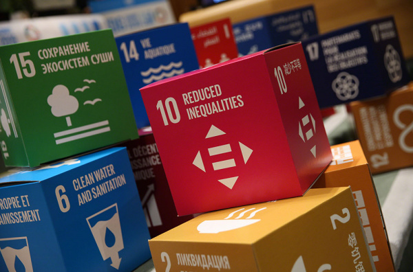 Secretary-General invites a Russian expert to be a member of the Global Sustainable Development Report Independent Group 