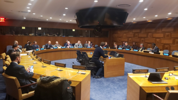 Россия и ООН представили 8 совместных проектов в области развития