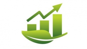 Международный консультант по инклюзивным инструментам планирования зеленой экономики