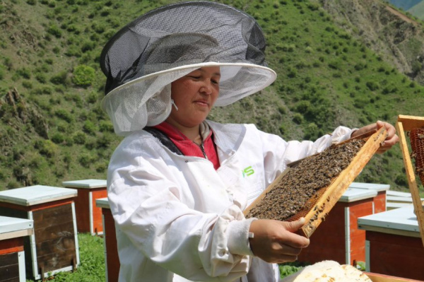 Росгидромет поддерживает устойчивость сельского хозяйства в Кыргызстане